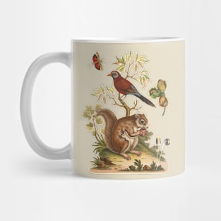 Squirrel and Bird Colorful Wildlife Illustration Mug